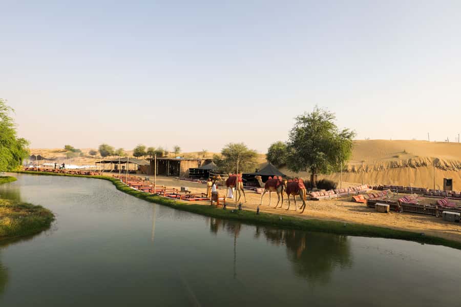 Dubai: Al Marmoom and Al Qudra Lakes Guided Tour with Dinner - Love Lake and the best photo stop