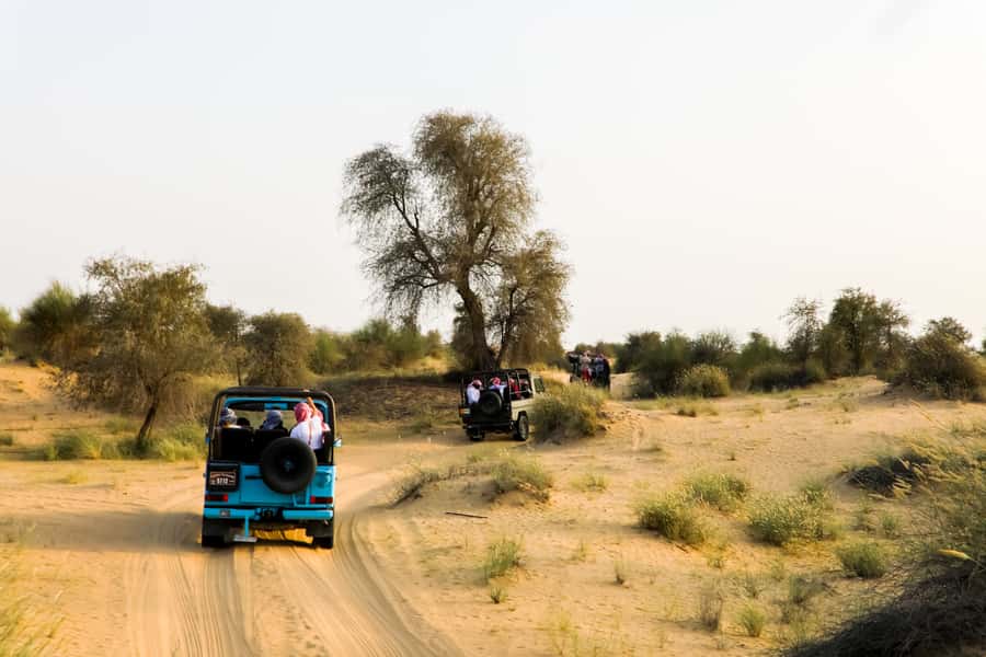 Dubai: Al Marmoom and Al Qudra Lakes Guided Tour with Dinner - Falcons, camels, and Bedouin entertainment