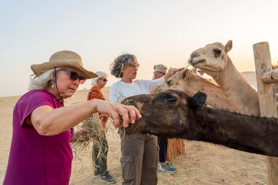 Dubai: Al Marmoom Oasis Safari, Animal Spotting & Breakfast - What the 4.9 rating tells you, and what it does not