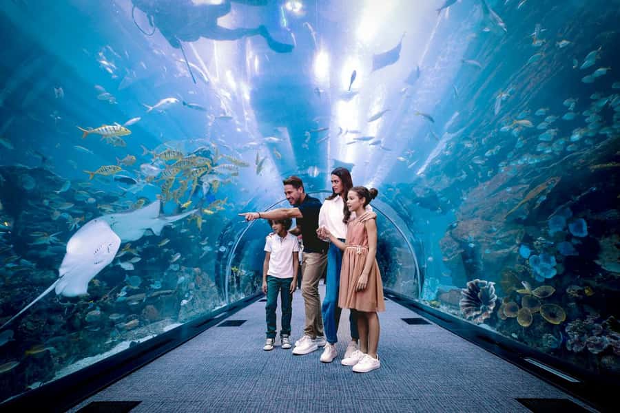 Dubai: Aquarium and Underwater Zoo Experience - Key points to know before booking