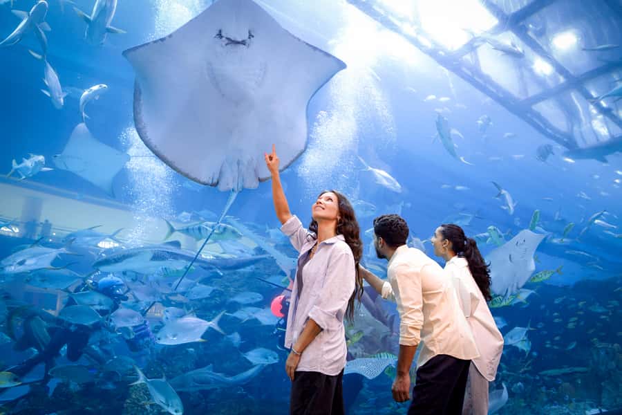 Dubai: Aquarium and Underwater Zoo Experience - Glass-bottom boats, feeding, and animal encounters