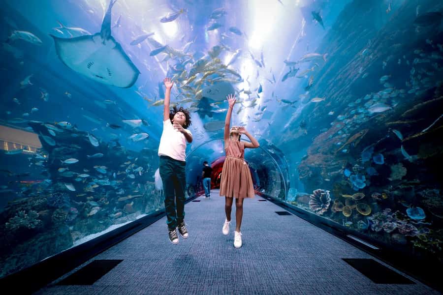 Dubai: Aquarium and Underwater Zoo Experience - How long to plan and when to go