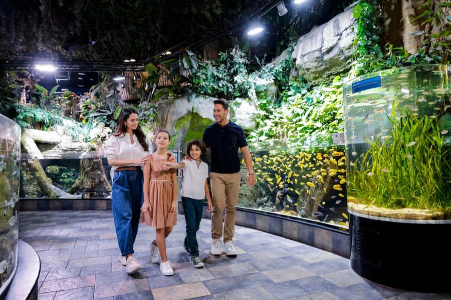 Dubai: Aquarium and Underwater Zoo Experience - Who should book this experience?