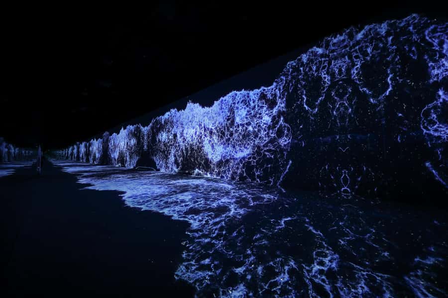Dubai: Arte Immersive Museum Entry Ticket - Garden links digital art with Musée d’Orsay