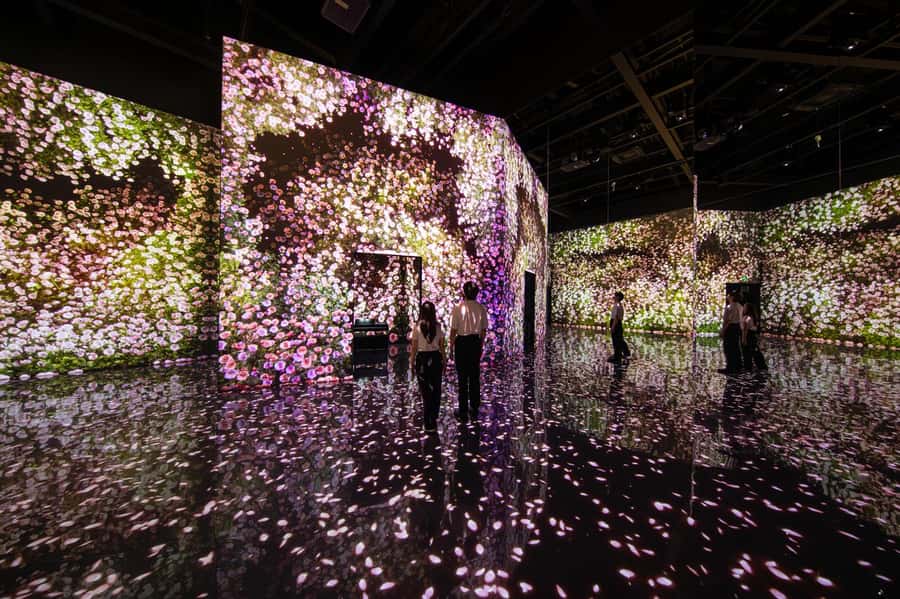Dubai: Arte Immersive Museum Entry Ticket - Is $40 good value?