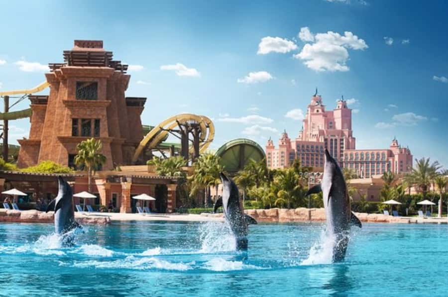 Dubai: Atlantis Dolphin Kayak Trip & Aquaventure Waterpark - What the kayak portion feels like