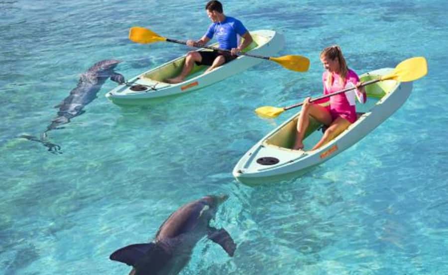 Dubai: Atlantis Dolphin Kayak Trip & Aquaventure Waterpark - How to judge the $135 price