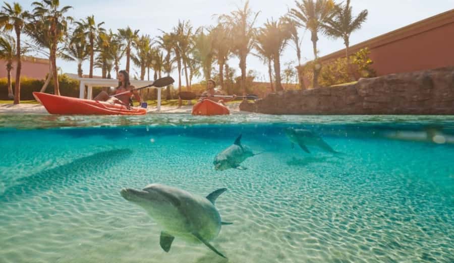 Dubai: Atlantis Dolphin Kayak Trip & Aquaventure Waterpark - From a quiet lagoon to Aquaventures big rides