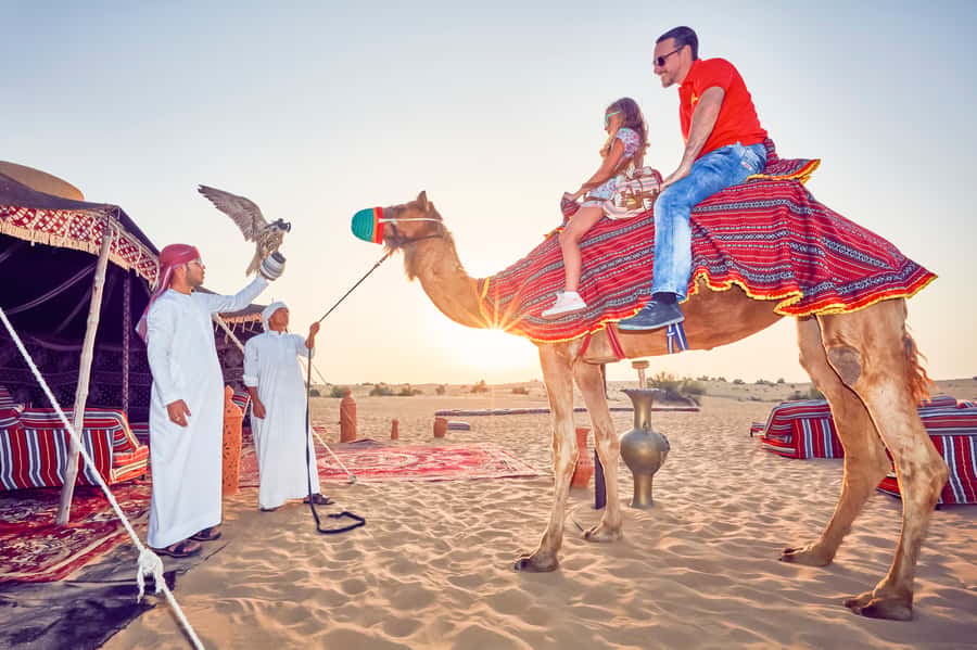 Dubai: Big Bus Hop-On Hop-Off Tour & Optional Dhow Cruise - Heat, traffic, and the practical side of riding