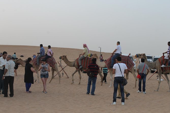Dubai: Buggy Dune Bashing, Sand Boarding, Camel Ride & Show - Pickup, timing, and group size