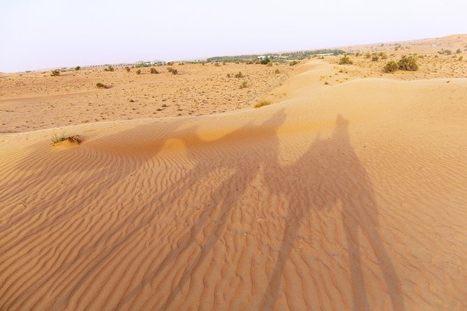 Dubai Camel Desert Safari, Traditional Meal & Heritage Activities - A quieter way to see the Dubai desert