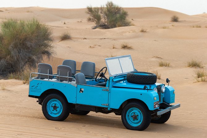 Dubai Camel Desert Safari, Traditional Meal & Heritage Activities - Falconry at sunset