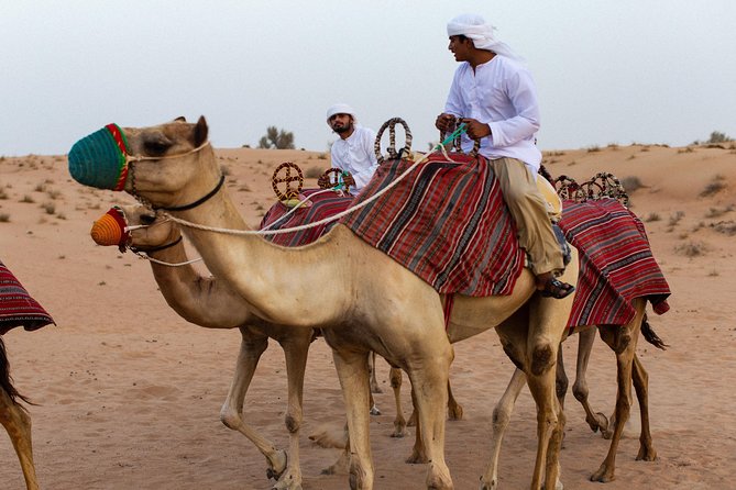 Dubai Camel Desert Safari, Traditional Meal & Heritage Activities - Who will enjoy this tour most