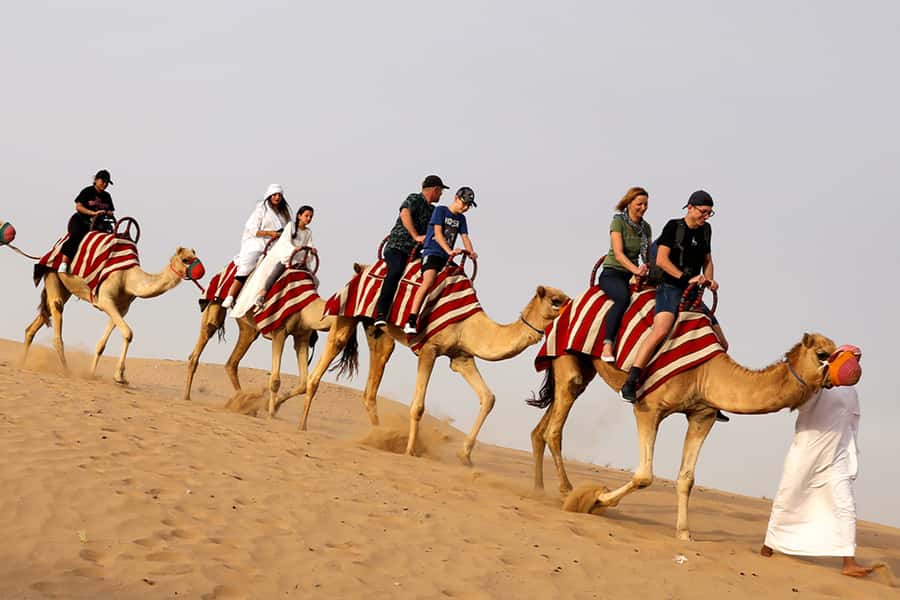 Dubai City Tour and Evening Desert Safari Combo - Stargazing after the camp lights fade