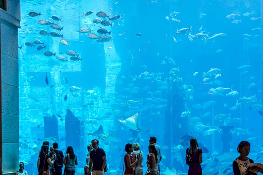 Dubai Combo: Morning City Tour & Evening Desert Safari - One day, two very different Dubais