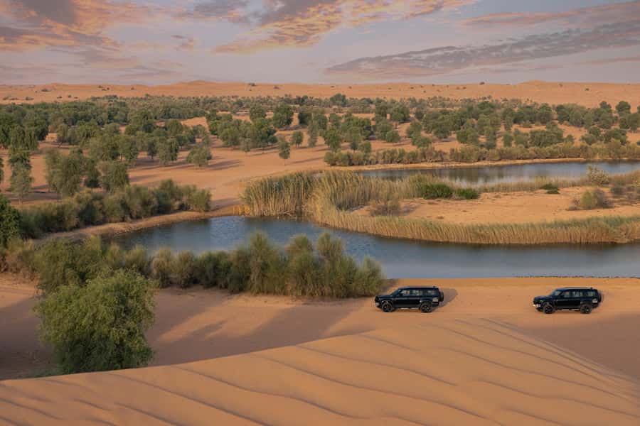 Dubai: Conservation Drive & Platinum Breakfast - A quieter way to see the Dubai desert