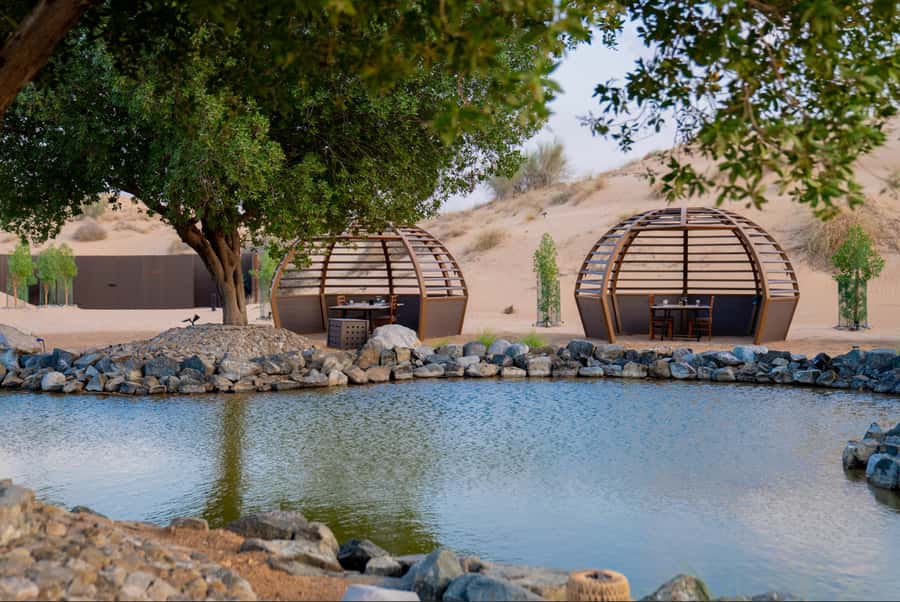 Dubai: Conservation Drive & Platinum Breakfast - Falconry and the birds of Emirati culture