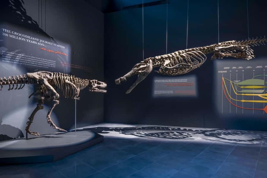 Dubai Crocodile Park Ticket - Key points to know before you go