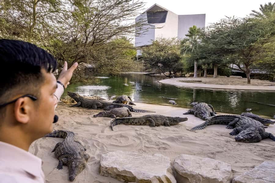 Dubai Crocodile Park Ticket - Practical advice for a smoother visit