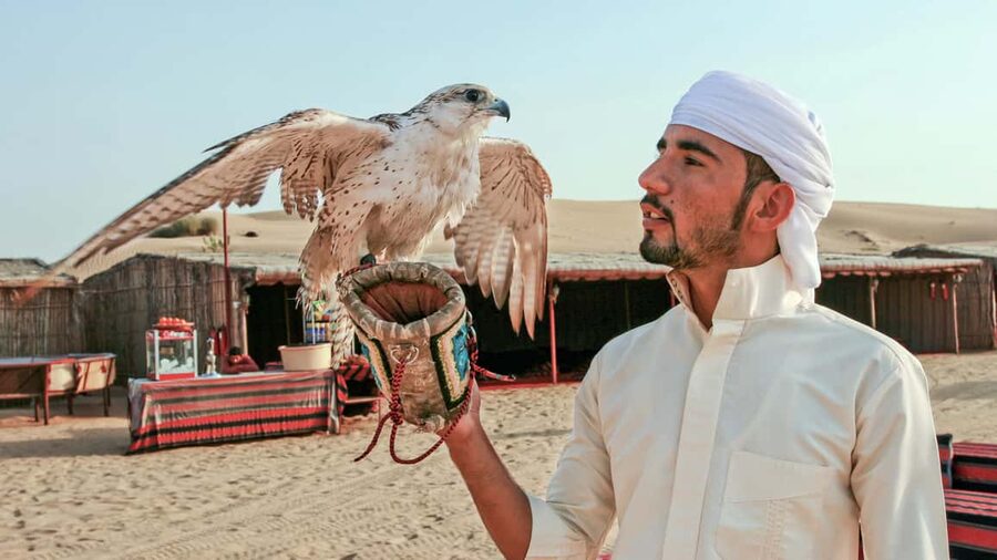 Dubai Desert Adventure: Red Dunes Guided Quad/Polaris & BBQ - Sandboarding and the sunset stop