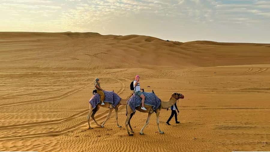Dubai: Desert Camel Ride with Live Shows & BBQ Buffet Dinner - Small details that can shape the day