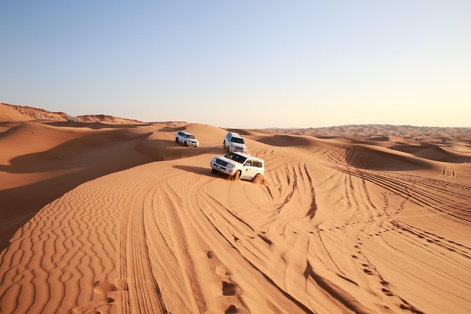 Dubai Desert Discovery: Red Dunes Safari, Sandboard & Camel Ride - Morning or afternoon: choose the right schedule