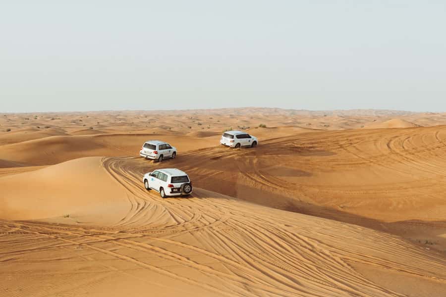 Dubai: Desert Safari, Camel Ride, and BBQ Dinner - From Dubai hotels to open desert