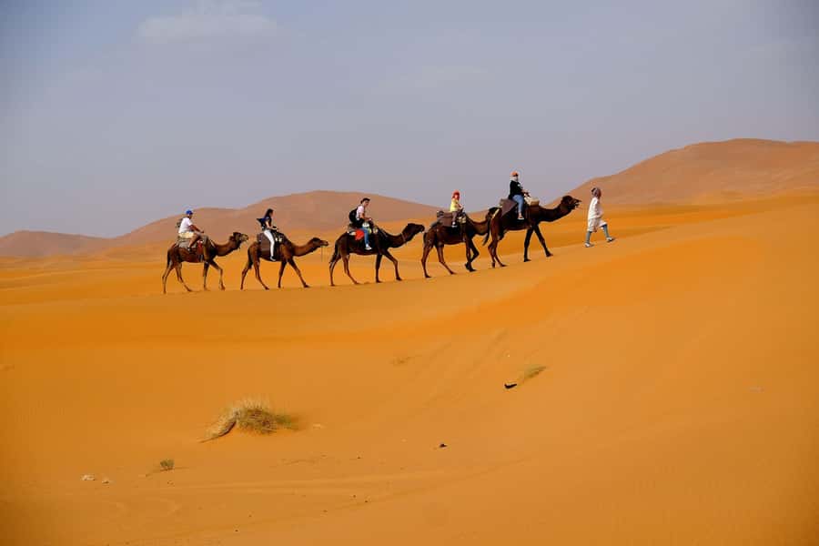 Dubai: Desert Safari, Camel Ride, and BBQ Dinner - Dune bashing across the sand
