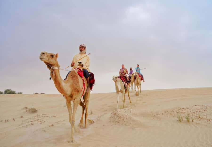 Dubai: Desert Safari, Camel Ride, Sandboard & Buffet Dinner - A short camel ride with time for photographs