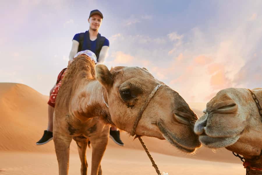Dubai Desert Safari - Camel Ride, Sandboarding & 30 Min Quad - Morning calm or afternoon sunset