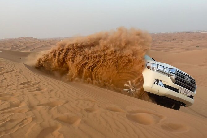 Dubai Desert Safari, Camel Ride, Shisha, Henna, Live BBQ & Shows - Comfort, timing, and practical limits