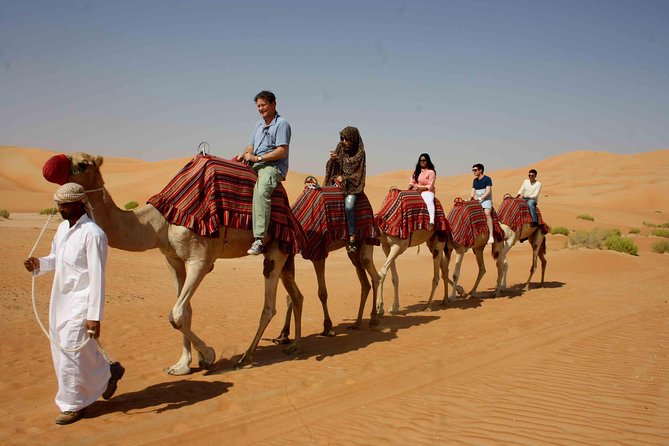 Dubai: Desert Safari, Camel Ride, Show & Optional Dinner - Sandboarding down a soft red dune