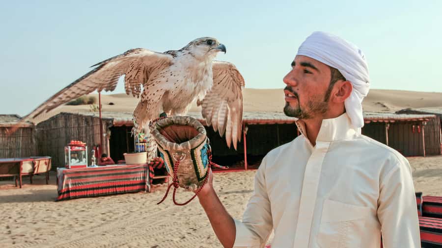 Dubai Desert Safari - Premium BBQ Dinner, Camel Ride & Shows - Choosing between shared and private dinner service