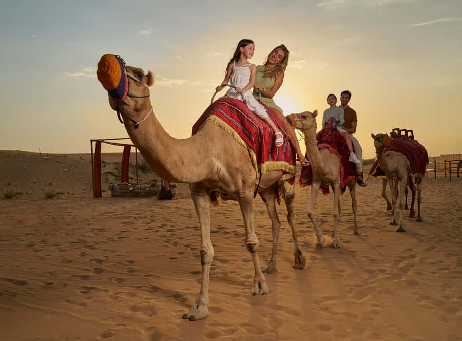 Dubai: Desert Safari, Quad Bike & Premium Camp Experience - Sandboarding, falcons, and the first photo stop