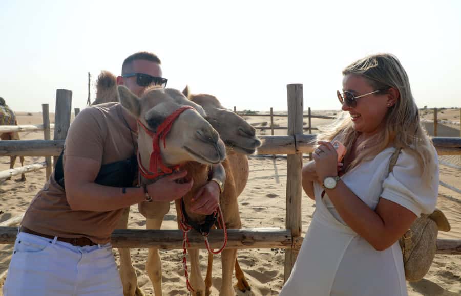 Dubai: Desert Safari, Quad Bike, Sandboarding, Camels & BBQ - Sandboarding and sunset photos on the dunes