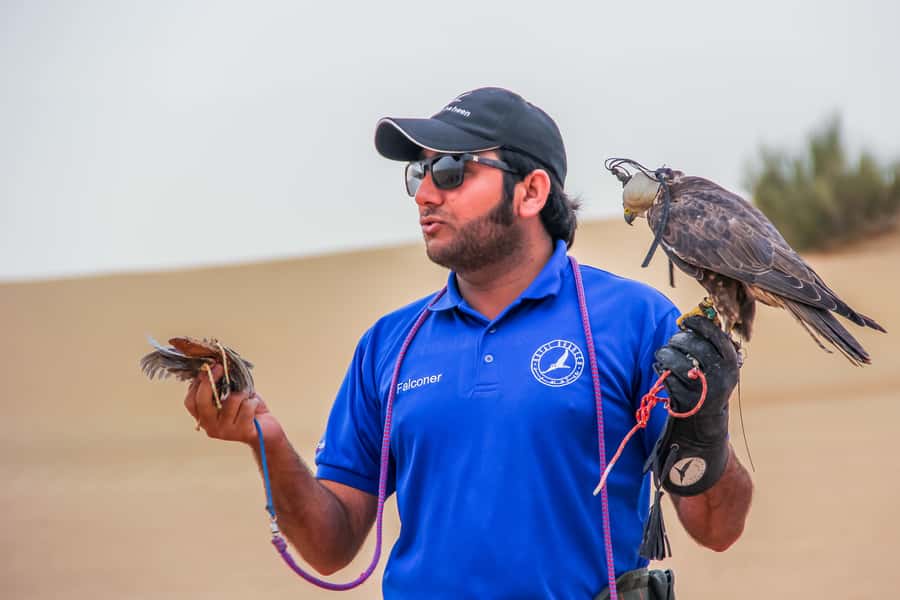 Dubai Desert Safari, Quad Biking, Camel Ride, & Sandboarding - How the $47 price holds up