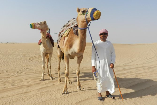 Dubai Desert Safari with BBQ, 3 Shows & Camel Ride at Majlis Camp - Who will enjoy this safari most