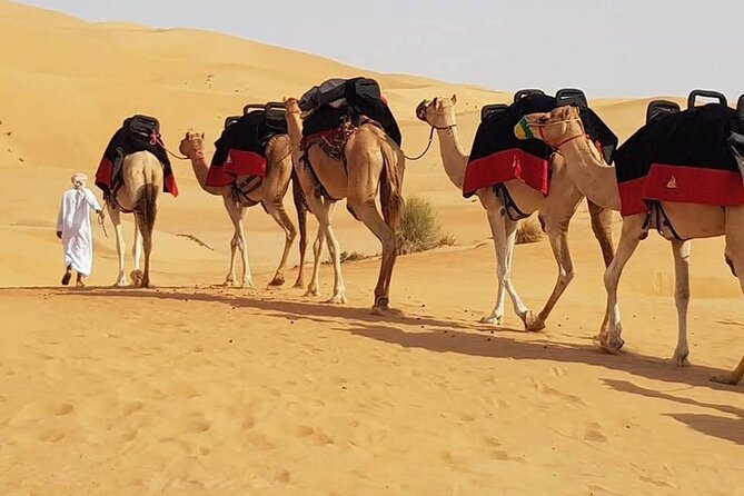 Dubai Desert Safari With Dune Bashing, Camel Ride & BBQ Dinner - Red dunes and a serious dose of dune bashing