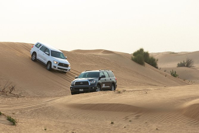 Dubai Desert Safari with Quads, BBQ Dinner, Camel ride, & Shows - What the $70 price really covers