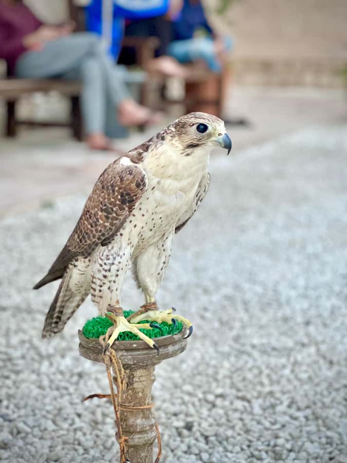 Dubai.Discover Old town,Markets,street food,Abra &Museums - What the $19 price really includes