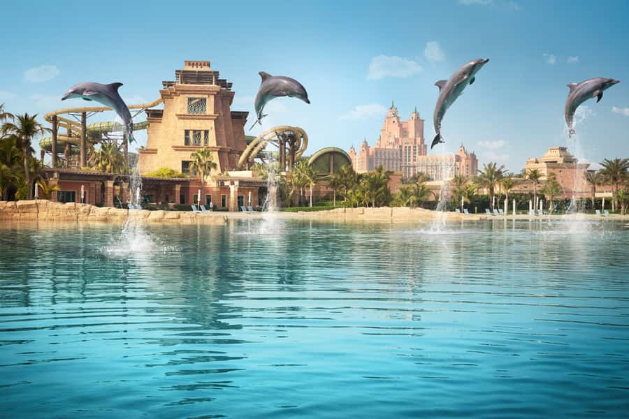 Dubai: Dolphin Encounter & Aquaventure Waterpark Ticket - Is the dolphin encounter and Aquaventure ticket worth it?