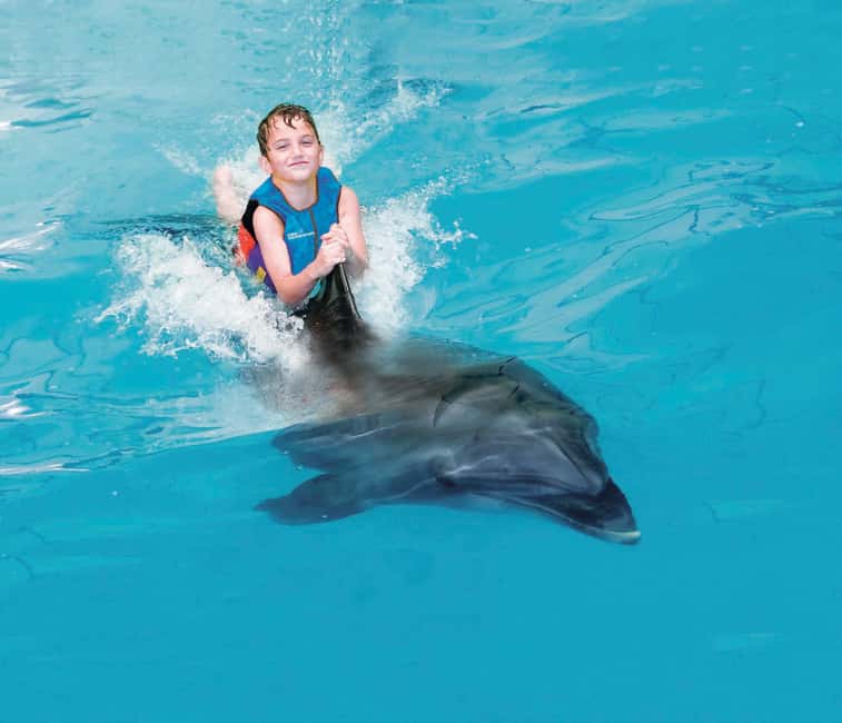 Dubai: Dubai Dolphinarium Dolphin, Seal & Bird Show Tickets - The Exotic Bird Show adds color, but not the same impact