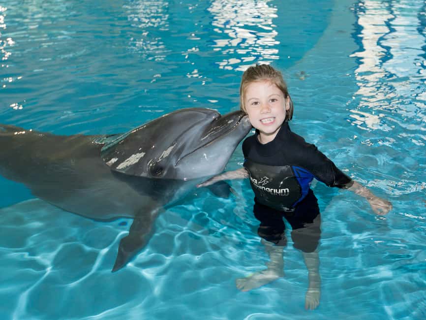 Dubai: Dubai Dolphinarium Dolphin, Seal & Bird Show Tickets - Choosing between regular and VIP seating