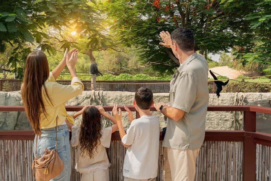 Dubai: Dubai Safari Park Entry Pass - What the $13 Dubai Safari Park ticket really buys you