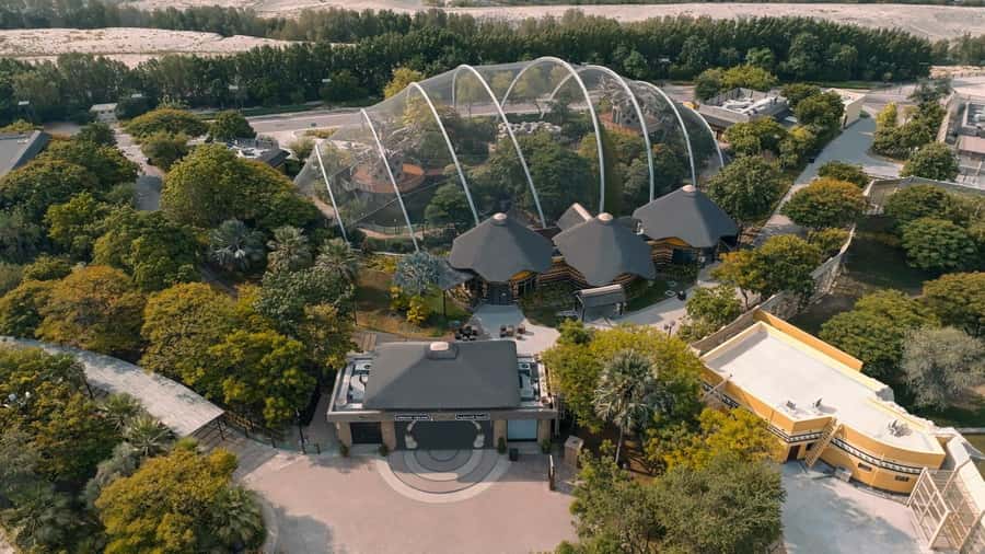 Dubai: Dubai Safari Park Entry Pass - African Village: large animals and the biggest visual payoff
