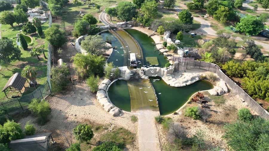 Dubai: Dubai Safari Park Entry Pass - Asian Village: forests, ponds, and guided animal encounters