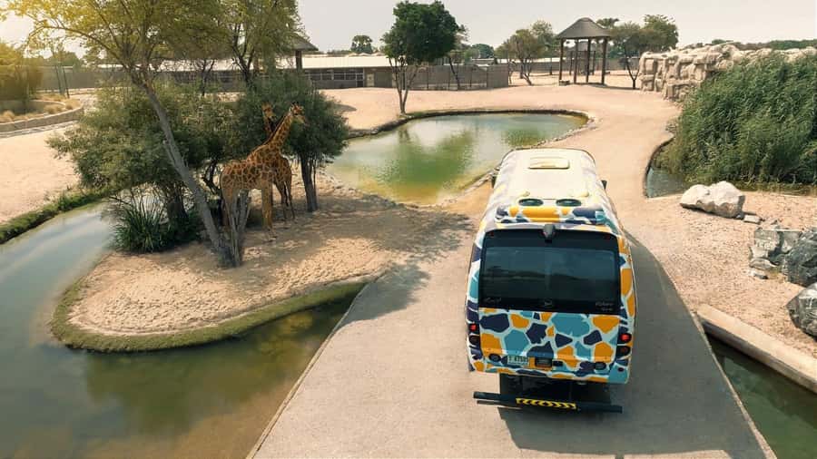 Dubai: Dubai Safari Park Entry Pass - Explorer Village: the best paid add-on for close views