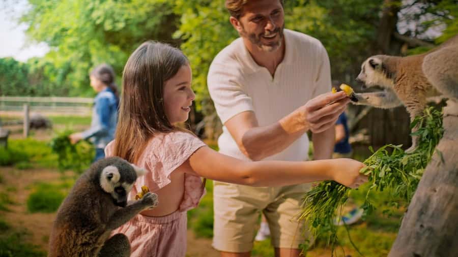 Dubai: Dubai Safari Park Entry Pass - Kids Farm and the animal activities