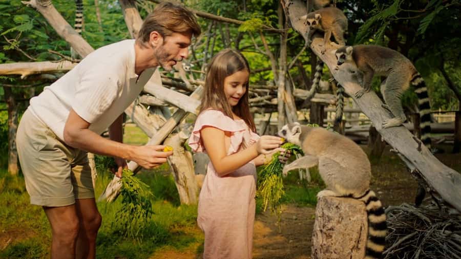 Dubai: Dubai Safari Park Entry Pass - Shows, talks, and the Asian Village Theatre