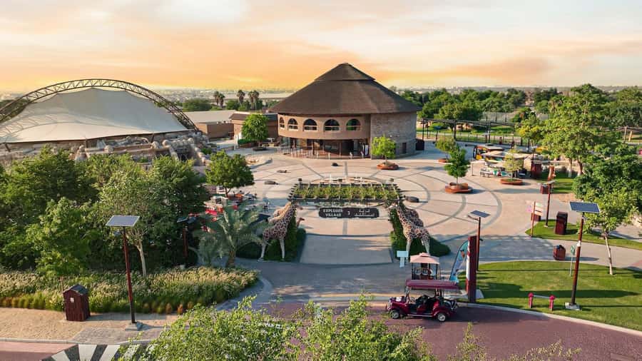 Dubai: Dubai Safari Park Entry Pass - Heat, shade, walking, and practical comfort